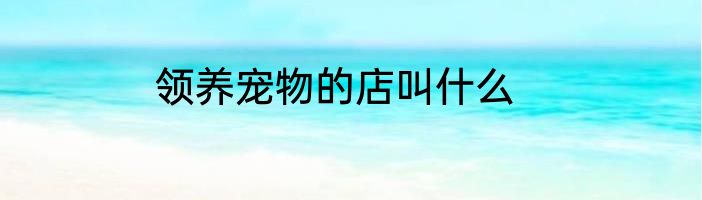 领养宠物的店叫什么