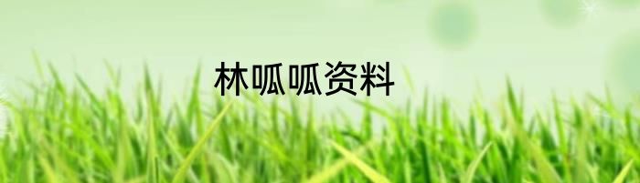 林呱呱资料