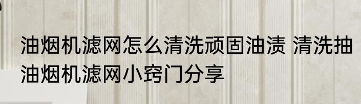 油烟机滤网怎么清洗顽固油渍 清洗抽油烟机滤网小窍门分享