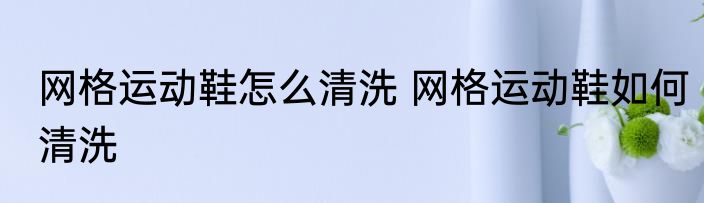网格运动鞋怎么清洗 网格运动鞋如何清洗
