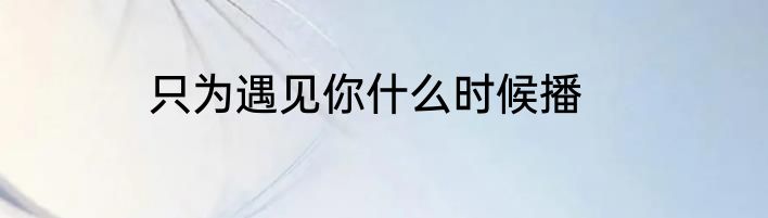 只为遇见你什么时候播