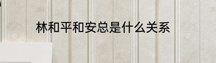 林和平和安总是什么关系
