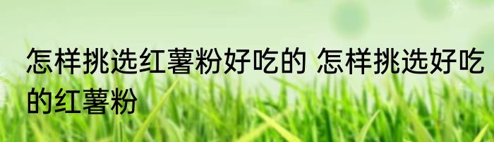 怎样挑选红薯粉好吃的 怎样挑选好吃的红薯粉