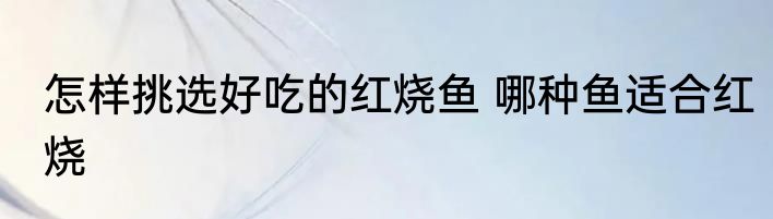 怎样挑选好吃的红烧鱼 哪种鱼适合红烧