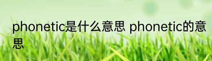phonetic是什么意思 phonetic的意思
