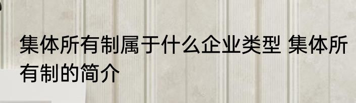 集体所有制属于什么企业类型 集体所有制的简介