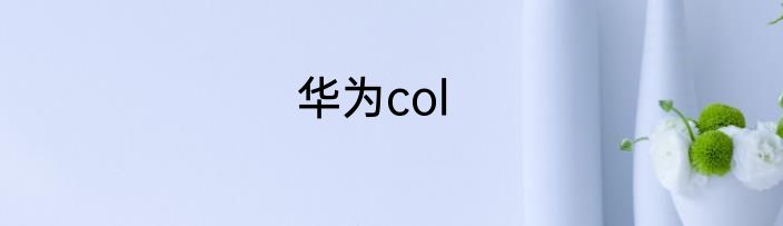 华为col