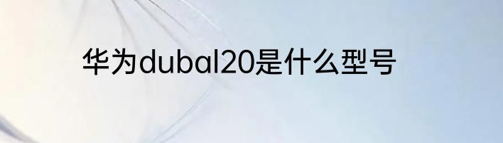 华为dubal20是什么型号