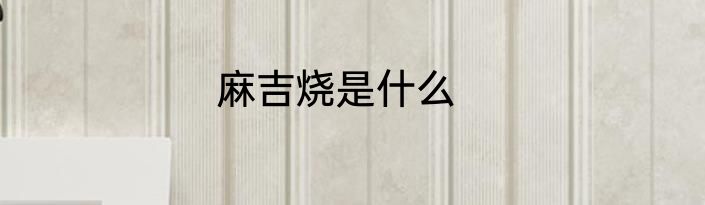 麻吉烧是什么