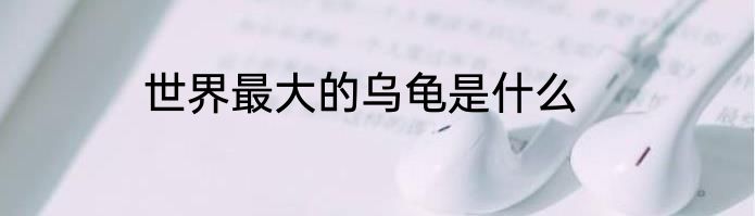 世界最大的乌龟是什么