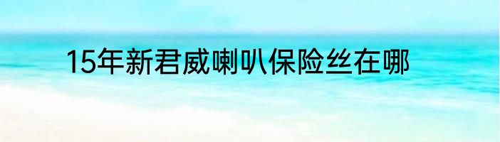 15年新君威喇叭保险丝在哪