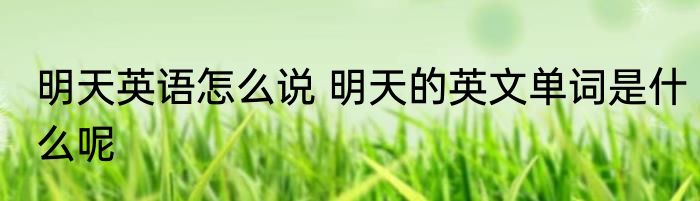 明天英语怎么说 明天的英文单词是什么呢