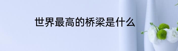 世界最高的桥梁是什么