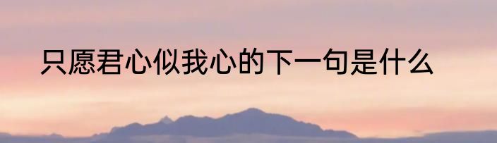 只愿君心似我心的下一句是什么