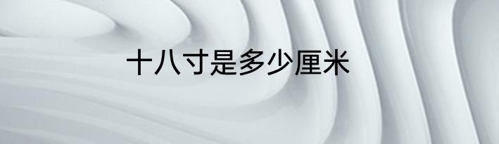 十八寸是多少厘米