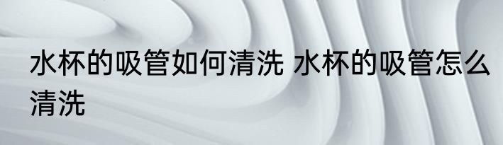 水杯的吸管如何清洗 水杯的吸管怎么清洗