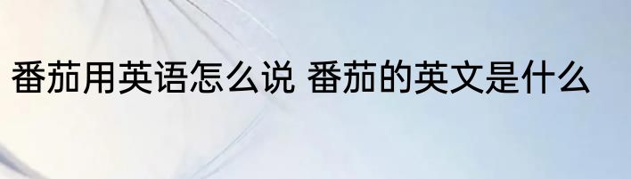 番茄用英语怎么说 番茄的英文是什么