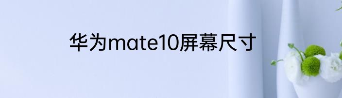 华为mate10屏幕尺寸