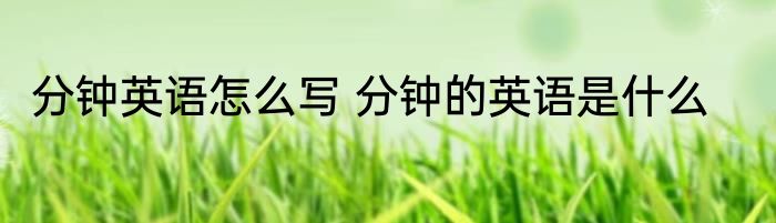 分钟英语怎么写 分钟的英语是什么