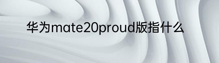 华为mate20proud版指什么