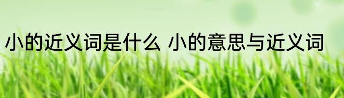 小的近义词是什么 小的意思与近义词