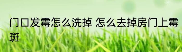 门口发霉怎么洗掉 怎么去掉房门上霉斑