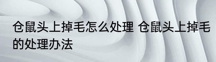 仓鼠头上掉毛怎么处理 仓鼠头上掉毛的处理办法