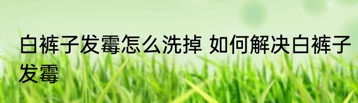 白裤子发霉怎么洗掉 如何解决白裤子发霉