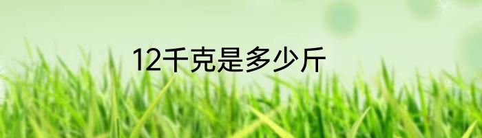12千克是多少斤