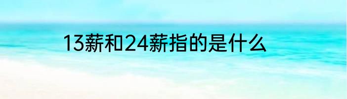 13薪和24薪指的是什么