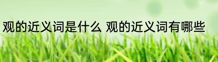 观的近义词是什么 观的近义词有哪些