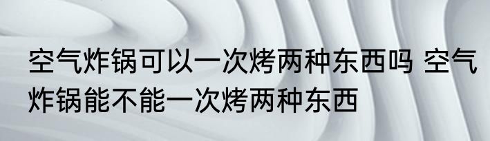 空气炸锅可以一次烤两种东西吗 空气炸锅能不能一次烤两种东西