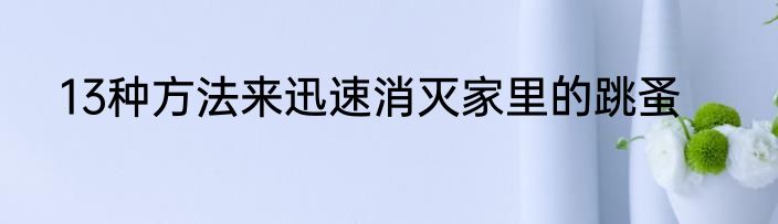 13种方法来迅速消灭家里的跳蚤