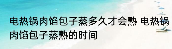 电热锅肉馅包子蒸多久才会熟 电热锅肉馅包子蒸熟的时间