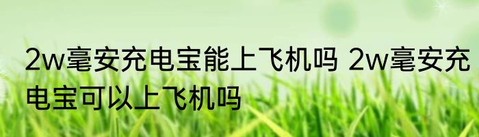 2w毫安充电宝能上飞机吗 2w毫安充电宝可以上飞机吗