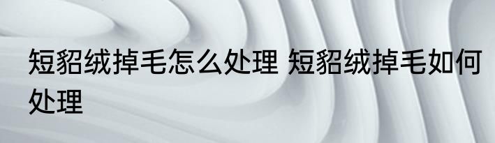 短貂绒掉毛怎么处理 短貂绒掉毛如何处理