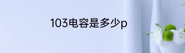 103电容是多少p