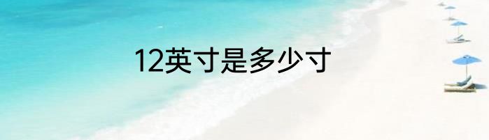 12英寸是多少寸