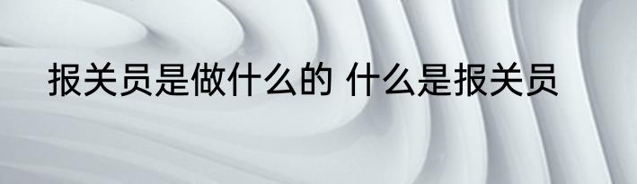 报关员是做什么的 什么是报关员