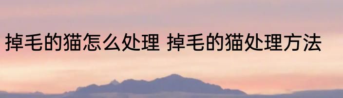 掉毛的猫怎么处理 掉毛的猫处理方法