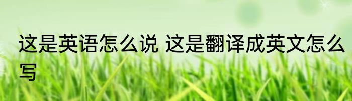 这是英语怎么说 这是翻译成英文怎么写