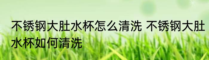 不锈钢大肚水杯怎么清洗 不锈钢大肚水杯如何清洗