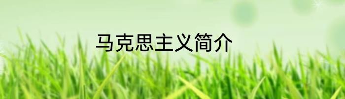 马克思主义简介
