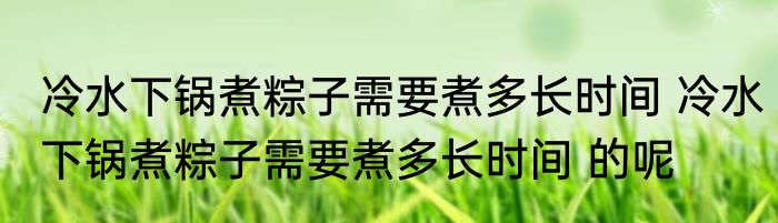 冷水下锅煮粽子需要煮多长时间 冷水下锅煮粽子需要煮多长时间 的呢