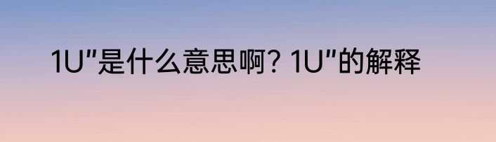 1U”是什么意思啊? 1U”的解释