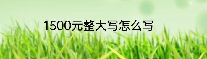 1500元整大写怎么写