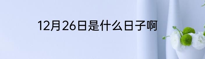 12月26日是什么日子啊