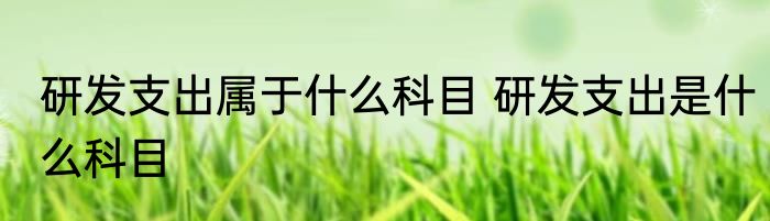 研发支出属于什么科目 研发支出是什么科目