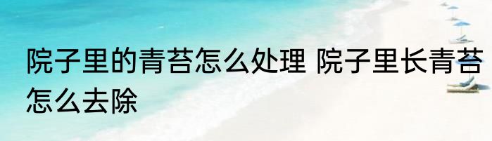 院子里的青苔怎么处理 院子里长青苔怎么去除