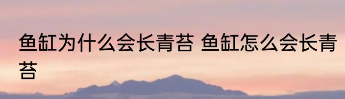 鱼缸为什么会长青苔 鱼缸怎么会长青苔